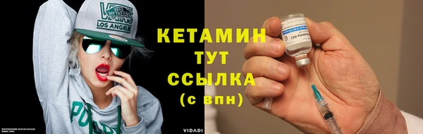 шишки Аркадак