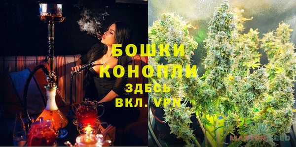 шишки Аркадак